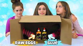 What's In The Box Slime Challenge! * New Version*