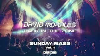 BACK IN THE ZONE by David Morales, Tony Touch