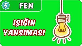 Işığın Yansıması | 5. Sınıf Fen evokul Kampı