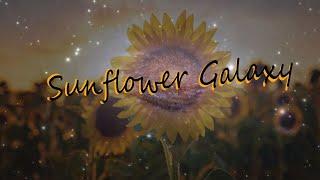 Sunflower Galaxy (prod. vilesky) ft. PHXNTOMFXCE