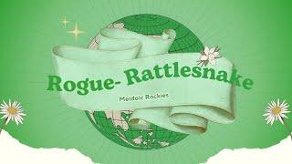 Rogue- Rattlesnake | Kitchenstep | Melodic Rockies - NCS Fanmades