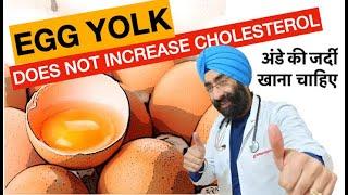 Harward Research says You can eat 2 to 7 Egg Yolks in a day | No Cholesterol Risk | Dr.Education