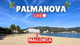 Final LIVE of 2024: Palmanova, Mallorca | SATURDAY 21 December 2024