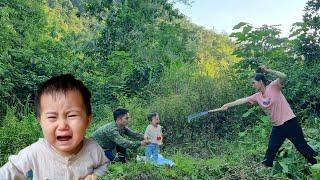 Harvesting  grapefruit to sell | my husbnd suddenly came to where l lived