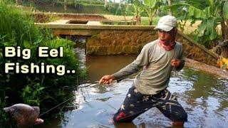 Mancing belut besar di sungai Cibarani-Serasa tarik tambang bos-Rnc petualang