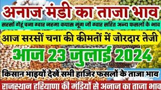 अनाज मंडी भाव| 23 जुलाई 2024 आज सरसों चना की कीमतों में जोरदार तेजी| नरमा गेहूं में बदलाव|mandi bhav