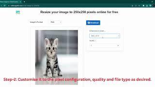 Resize your image to 250x250 pixels online for free Tutorial