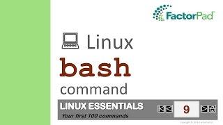 Linux bash command summary with examples