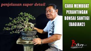 CARA MEMBUAT PERANTINGAN BONSAI SANTIGI (bagian2)