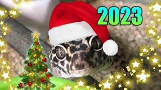 С НОВЫМ 2023 ГОДОМ!!!