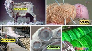 Wool Yarn Manufacturing Process -  From Sheep to Skein