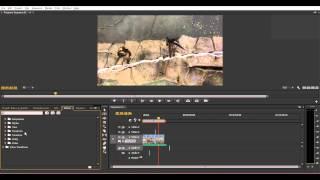 How To Easily Flip a Video In Adobe Premiere Pro CS6 Using Vertical Flip