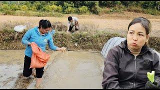 The greediest and laziest mother-in-law on earth. The couple sowed summer rice