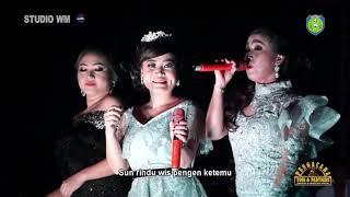 Githa Gusmania Feat. Yola Kamplong & Roosa Angelina - Tangisan Rind | Dangdut (Official Music Video)