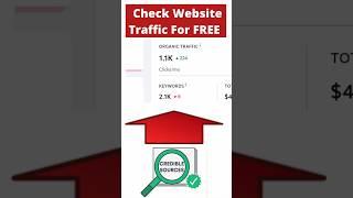 how to check website traffic on google analytics #website