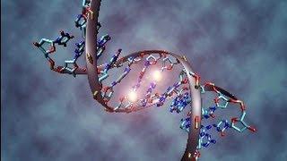 Genetics, epigenetics and disease