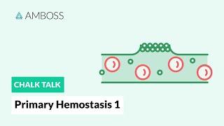 Primary Hemostasis - Part 1: Platelet Adhesion