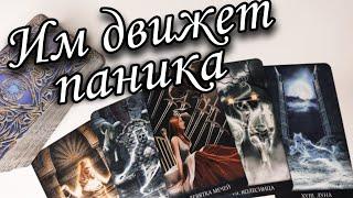  Что из-за Вас с ним ПРОИСХОДИТ сейчас ⁉️ Чего Вам ждать⁉️ Таро расклад  гадание онлайн