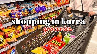shopping in korea vlog  groceries haul with prices  snacks unboxing & cooking ‍