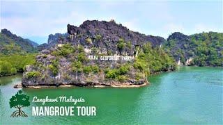 Mangrove Tour | Kilim Geoforest Park | Fun Things To Do In Langkawi