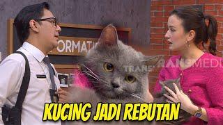 Kondre dan Kimberly Rebutan Kucing! Pasukin Heboh! | MOMEN SERU LAPOR PAK (23/12/24)