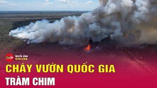 Cập nhật hiện trường vụ cháy vườn quốc gia Tràm Chim | Tin nóng mới nhất