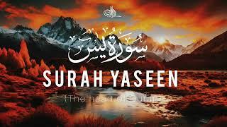 Beautiful Surah Yaseen(Yasin) | سورہ يسٓ | The heart of Quran #surahyaseen #surahyasin  240413