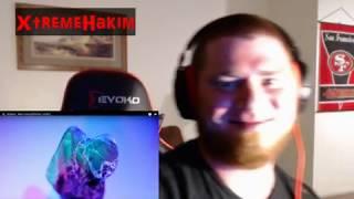 Slipknot- New video 2020 (REACTION) XTREME HAKIM! getting back to my Hard Rock Roots!