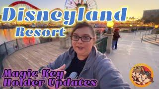 Magic Key Holder Updates @ The Disneyland Resort / Transportation Poster + Sunglasses Balloon Sipper