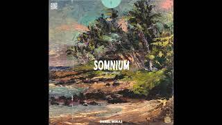 Somnium Sample Library - Daniel Moras