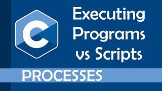 Executing programs vs executing scripts in C