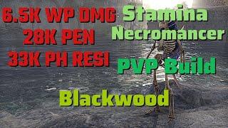 Stamina Necromancer - ESO PVP Build - Blackwood