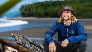 Costa Rica Turtle Conservation Experience - Volunteer Reviews | The Great Projects