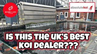 Is this the UK’s BEST koi dealer??? BIGGEST MONSTER KOI! An “ABSOLUTE” stunning place!