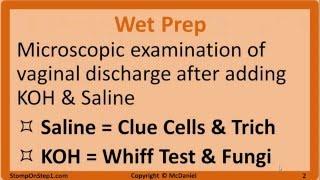 Vaginitis: Candida, BV, Trichomoniasis  - Wet Mount Whiff Test Vaginal pH Trich Albicans gardnerella