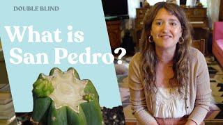 San Pedro: What Is It?  | DoubleBlind