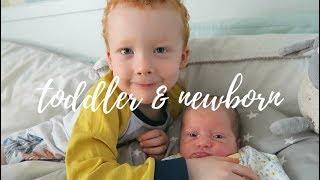 DAY IN THE LIFE | TODDLER & NEWBORN