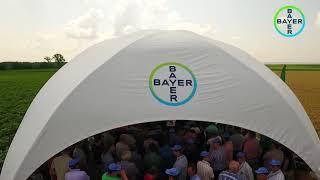 Bayer Agro Arena Marghita