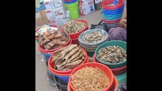 Dimapur Market, Nagaland frog selling