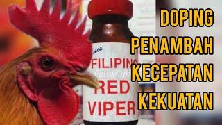 Doping Ayam - Penambah Kecepatan & Kelincahan