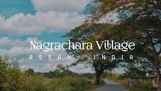 A Beautiful Indian Village, Assam (India- Bhutan Border)