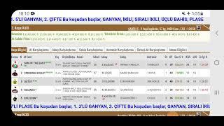 18 Kasım 2024 Pazartesi Bursa At yarışı tahminleri - İki banko at