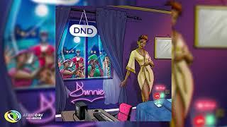 Dunnie - DND (Official Audio)