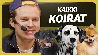 Testataan kaikki koirarodut! (osa 2)