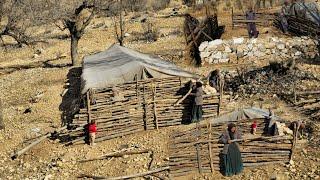 Nomadic Lifestyle of Iran: Nomadic Life in the Mountains _ Building a Sheep Shelter with Wood ️