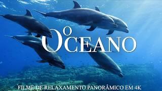 EXPLORE O OCEANO em 4K - Documentário IMERSIVO da VIDA SELVAGEM dos ANIMAIS MARINHOS no Fundo do Mar