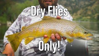 The Ultimate Dry Fly Challenge! | Small Flies, BIG Trout