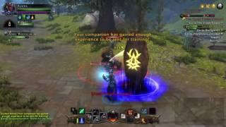 Neverwinter Easy Exp Farm 2016