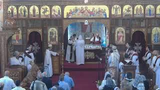 Live Stream Heilige Maria Kathedraal te Amsterdam