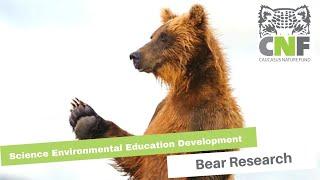 SEED, Georgia: Bear Research